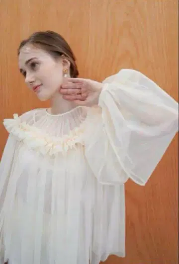 아카 가더 튤 블라우스