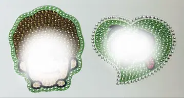 데코 부품 부채 그린 세트