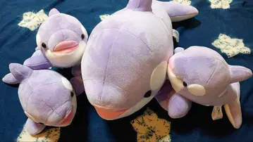 스마 씨월드 오카미 봉제 인형