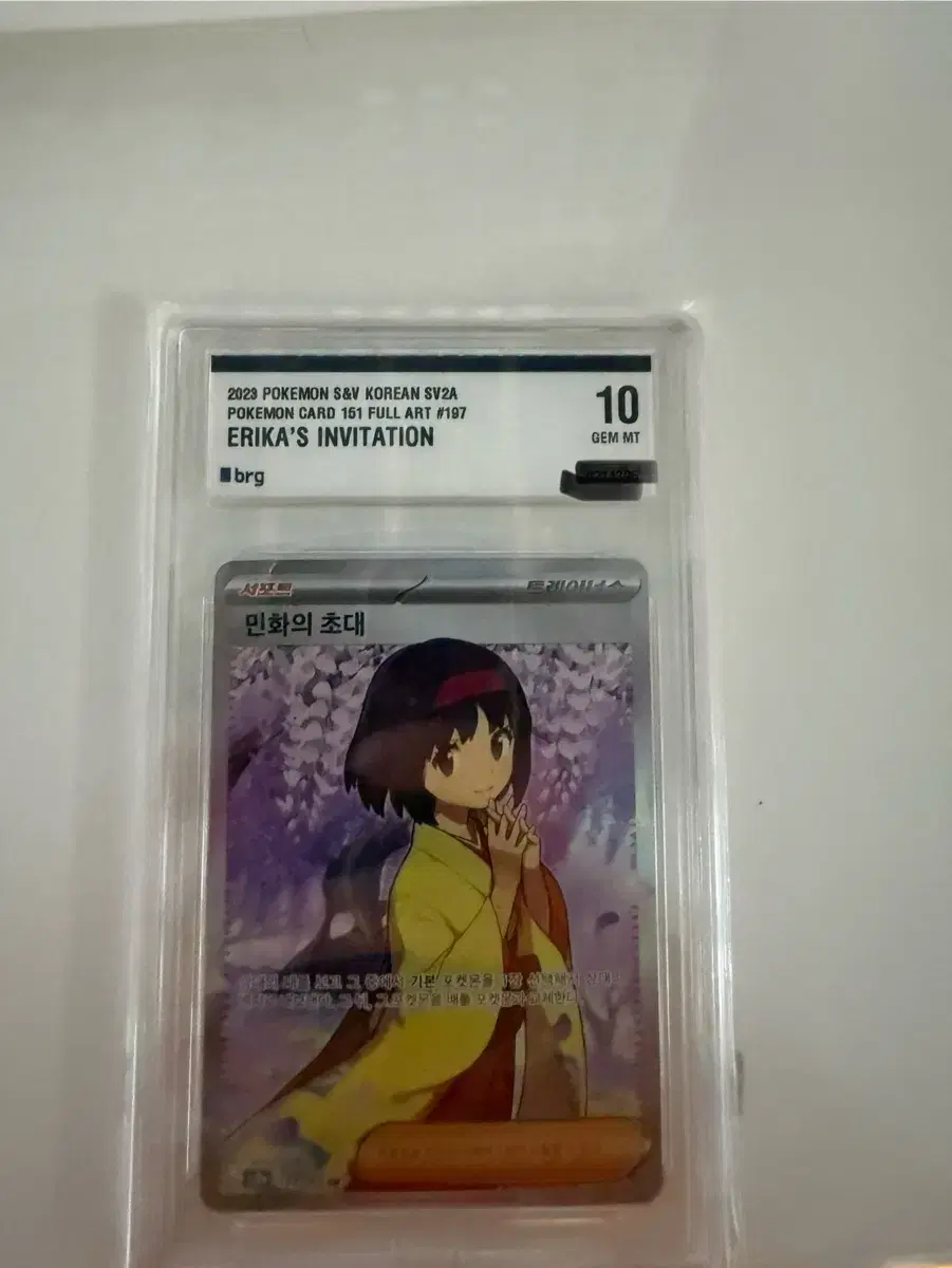 Pokemon Minhwa BRG 10