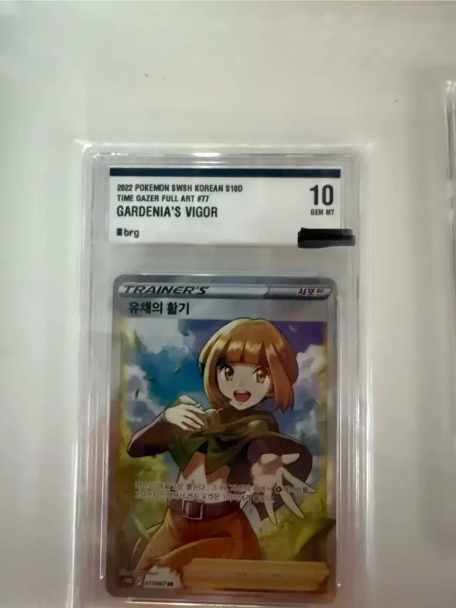 Pokemon Gardenia's Vigor brg 10