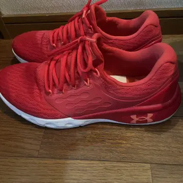 Under Armour 트레이닝 슈즈 레드