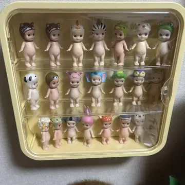 피규어 케이스
