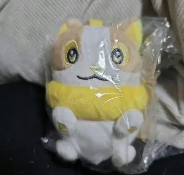 포켓몬스터 포켓몬 코인퍼스 원파치 포켓몬 센터 새상품