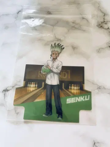 Dr.STONE 닥터 스톤 이시카미 치쿠