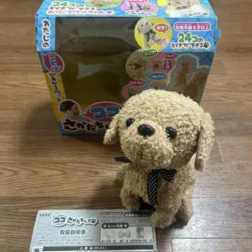 코코사카다치하고 애프리콧