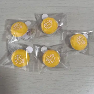 스토푸리 루토 반지 라이트