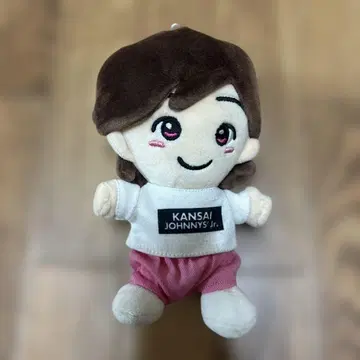 미치에다 슌스케 봉제 인형 치비누이