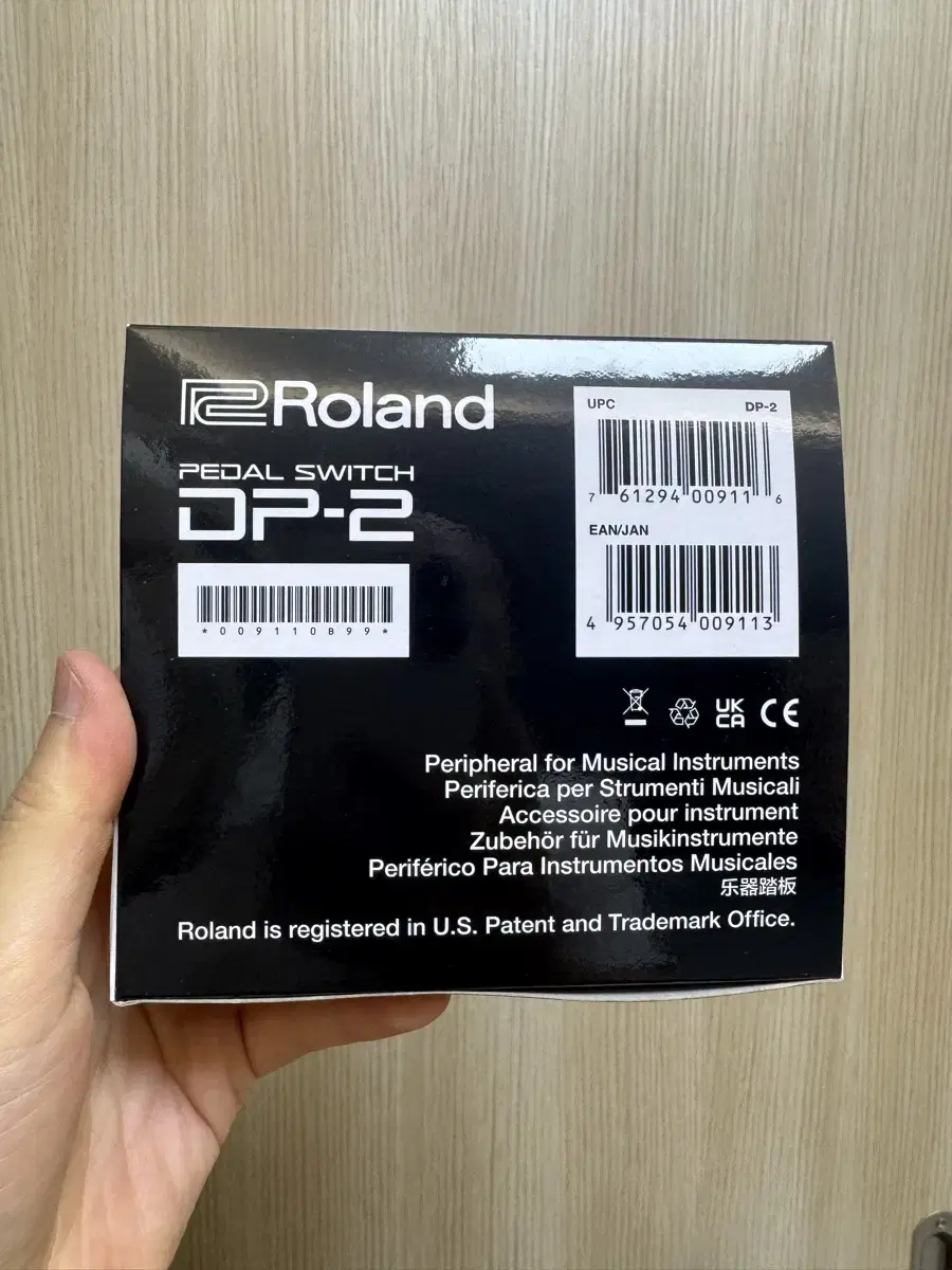 Roland DP-2 Sustain Piano Pedal