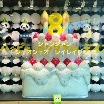 묶음 판매  샨샨 샤오샤오 레이레이 굿즈 클리어 파일