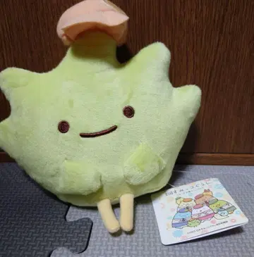 스미코구라시 쓰기하기 공장의 신비한 코 나카요시 봉제 인형 자소