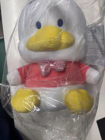 하피단부이 오리의 펙클