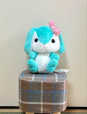 포테우사롭피 봉제 인형 비비드 아쿠마린