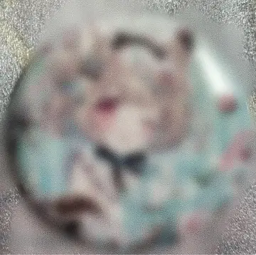 아마노 코노미 생일 기념 랜덤 캔뱃지 2025 시크릿