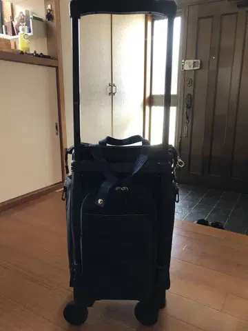 캐리어 가방