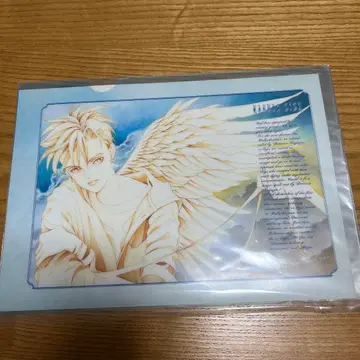 레어 시미즈 레이코 키가야 히메 A4 클리어 파일