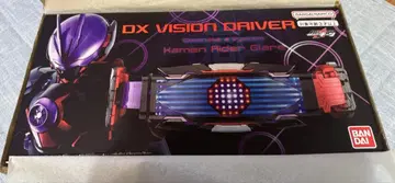 DX 비전 드라이버