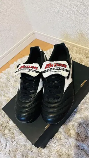 MIZUNO 모레리아 2 JAPAN