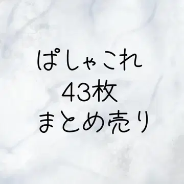 앙스타 파샤코레 43장 묶음 판매