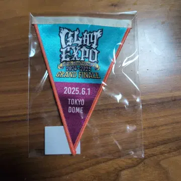 GLAY GRANDFINAL 도쿄돔 6/1 가랜드 배지