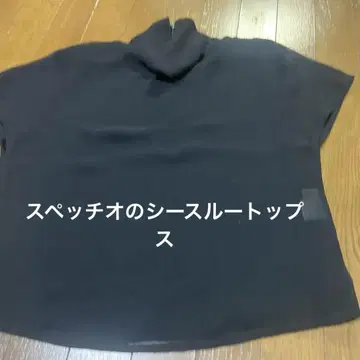 스페치오의 시스루 블랙 블라우스