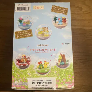 포켓몬 테라리움 컬렉션 6