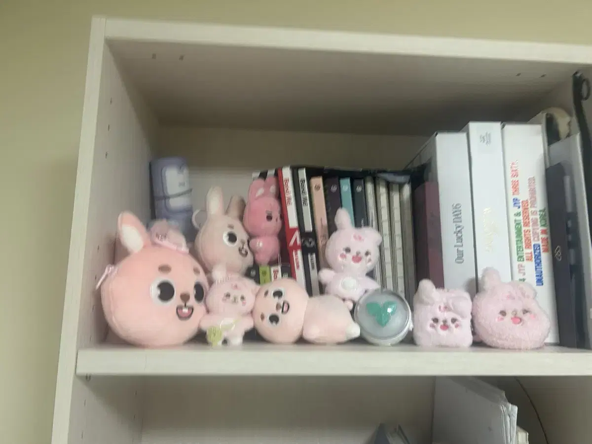 DAY6 Goods