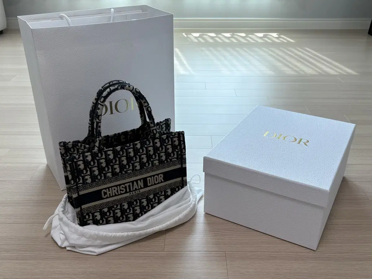 디올 북토트백 스몰