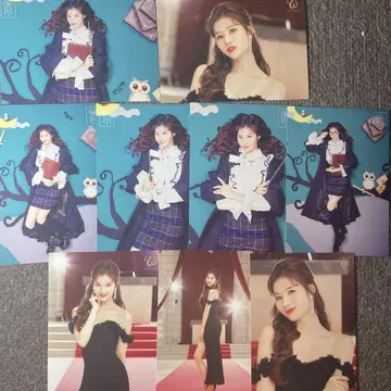 twice 사나 랜트 세트