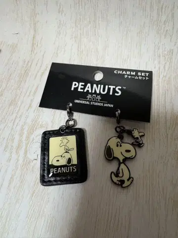 [미사용 새상품] USJ 한정 PEANUTS 참 세트 스누피