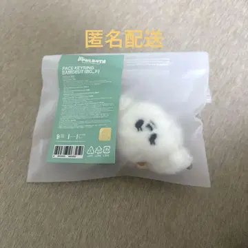 TXT 풀바투 밤구 보무 페이 키링
