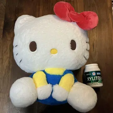 키티 봉제 인형