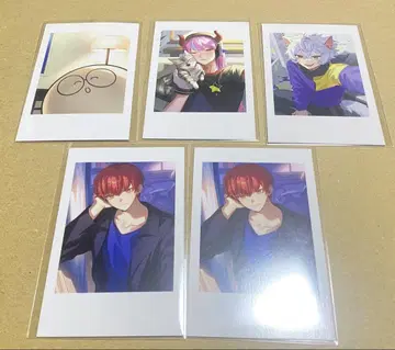 CrazyRaccoon SELFIE CARD 세트만