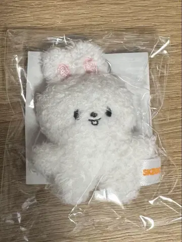 Stray Kids 펜미 마이크로 Lee 비트