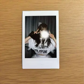 Onephony 타지마 사쿠라코 2023 폴라로이드