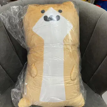 문구와 함께 쫄깃쫄깃 봉제 인형 XL 프리미엄 새끼 고양이 온쿠레