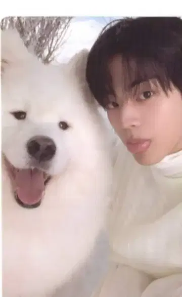TWS 컴팩트 버전 DOHOON 마지막 벨
