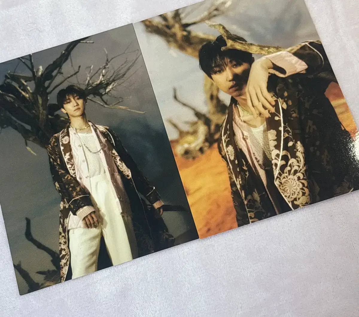 세븐틴 디에잇 페더썬 엽서 포스터 face the sun