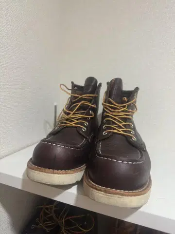 레드윙 8847