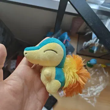 포켓몬 히노아라시 Petit Pastel 마스코트 봉제 인형