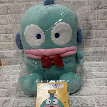 한교동 컴플리트 세트 산리오 하피단부이 뽑기 제일복권