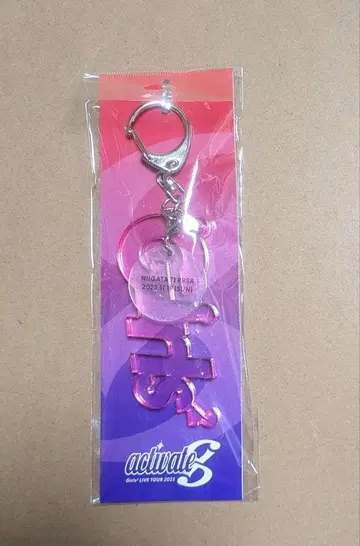 Girls2 로고 블록 키링 니가타 회장 한정판