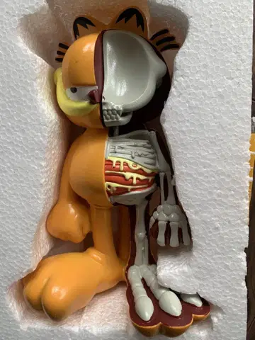 가필드 피규어 반 해부 20cm
