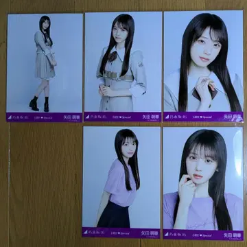 야다 모에카 브로마이드 5장 노기자카46 6기생