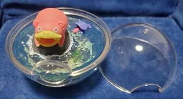 야돈 쉘더 테라리움 리멘트 포켓몬 피규어