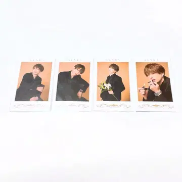 우라시마사카타센 센라 MARCEL 미니 포토 카드 폴라로이드 세트