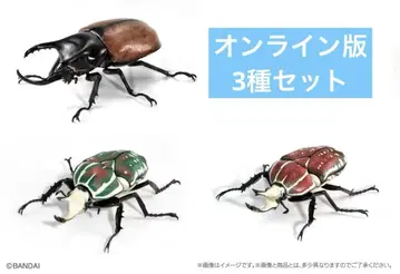 생물대도감 가부토무시 08 온라인판 '산본츠노가부토 외 3종 세트'