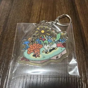 OTENKI TEAM 로콘 리프 피아