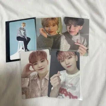 SEVENTEEN 세부치 우지 춤추는 꽃잎 incomplete 74