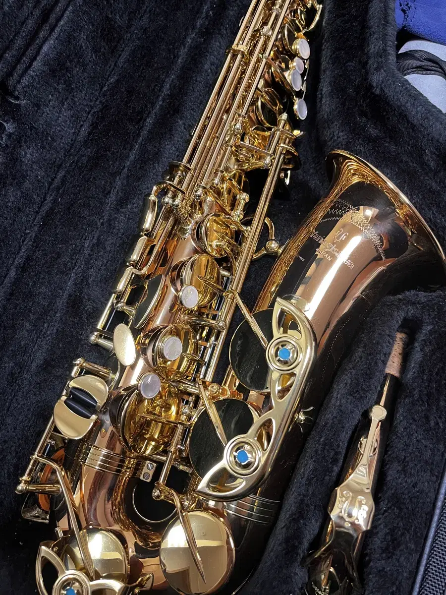 Yanagisawa A-Wo2 Alto Saxophone